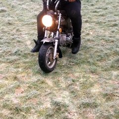 Honda Dax 125cc