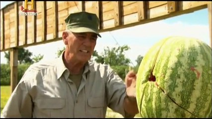 Askeri Silahlar 10. Bölüm - Cephaneler