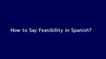 How to say Feasibility in Spanish