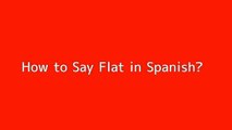 How to say Flat in Spanish