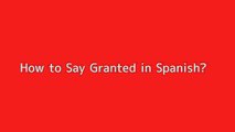 How to say Granted in Spanish