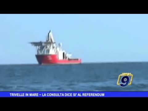 Trivelle in mare | La Corte costituzionale dice sì al referendum
