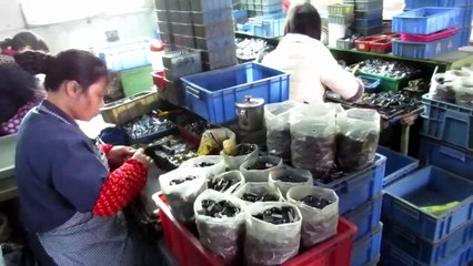 Herrajes para Muebles, Herrajes para Gabinetes - China: Cerraduras Centralizadas de Cajón / Production 6