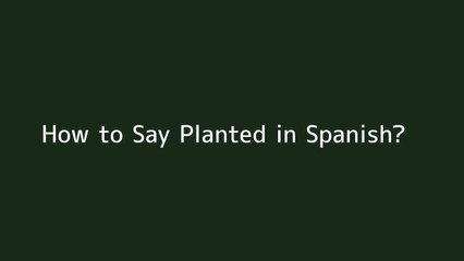 How to say Planted in Spanish