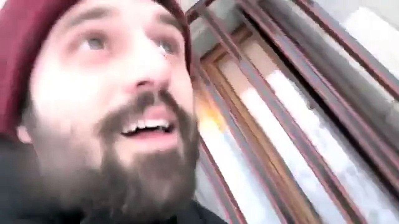 MDR pourquoi les chihuahua naime pas la neige!