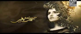 Tere Baghair Episode 15 Promo HUM TV Drama 20 Jan 2015