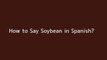 How to say Soybean in Spanish