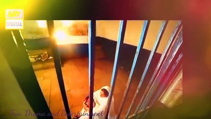 Bay Qasoor Next Episodes  13 Promo  20 Januaryy 2016