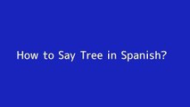 How to say Tree in Spanish