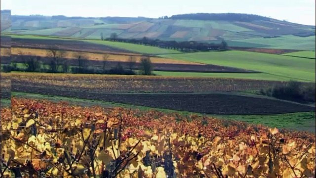 Emission spéciale Saint-Vincent Tournante 2016 sur France 3 Bourgogne