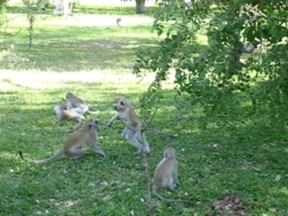 200705 - VICFALLS 253
