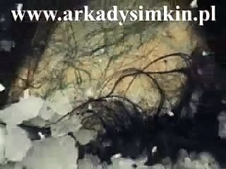 Mysterious domes in Siberia - radioactive UFO weapons system.