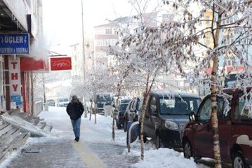 Ardahan Göle'de Yaşamı Felç Eden Soğuk: - 29.3