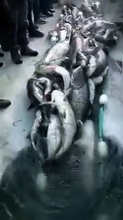 لن تصدق ما ستراه إذا أعطى أدهش سبحان الله