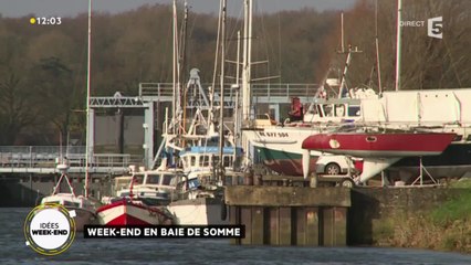 Week-end en baie de Somme