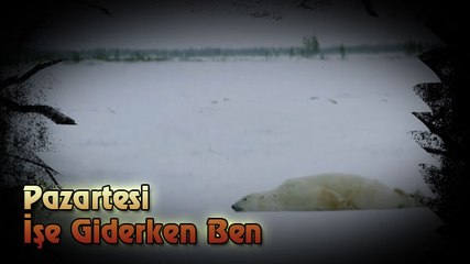 Pazartesi İşe Giderken Ruh Halim