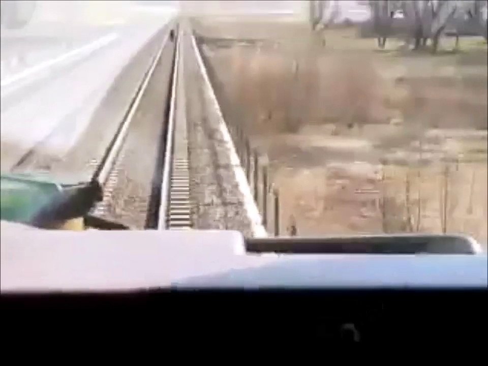 Vache VS train... Adieu vache têtue!