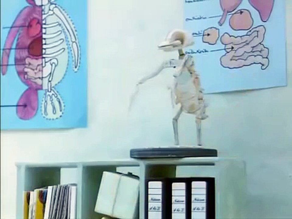 Pingu's Visit to the Hospital