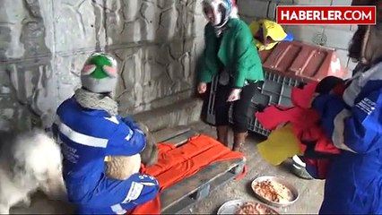 Köpeklere Elbise Giydirildi