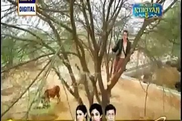 Qandeel baloch naughty with Waqar Zaka