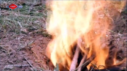 İnsan Doğaya Karşı - Çıngıraklı Yılan【TÜRKÇE - HD】Bear Grylls