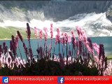 Ratti Gali Lake  - Tour To Azad Kashmir Pakistan...