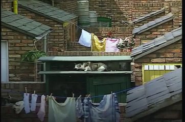 Coronation Street Liz And Jim Get Married Part 1