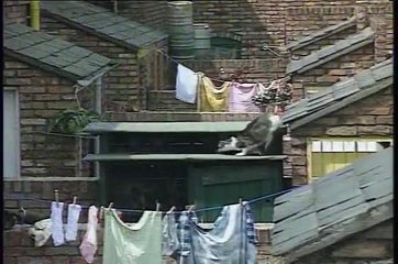 Coronation Street Mike And Alma Wedding Part 1