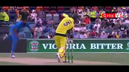 Ball hits the bowler, umpire and then stumps -npmake