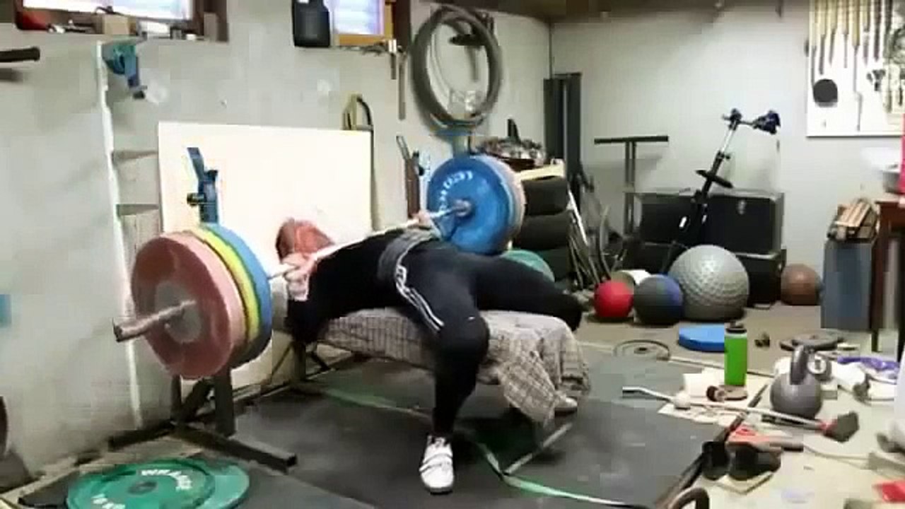 Funny Videos