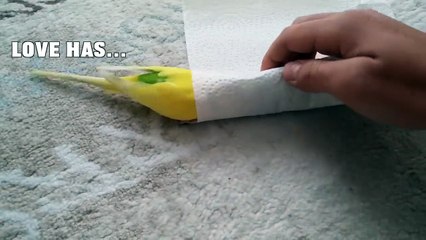 Love Has No Religion No Culture. Love is Life !! No No !! Life is Love