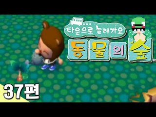 [루태] 새로운 과일을 심어요! 타운으로 놀러 가요 동물의 숲 37편 닌텐도 wii