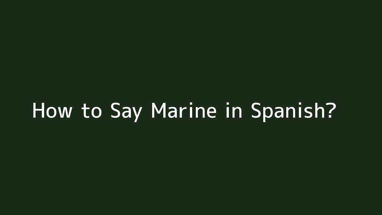 How to say Marine in Spanish