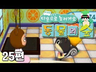[루태] 이거 얼마에요? 벼룩시장을 즐겨 보자 2탄! 타운으로 놀러 가요 동물의 숲 25편 닌텐도 wii