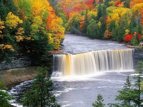 Relaxation music -Música relajante, meditación Chinese Bamboo Flute Yoga, Natural sounds