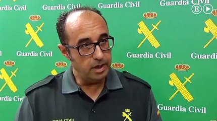 Il saute sur des jeunes porcelets