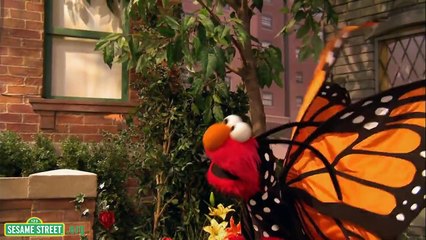 Sesame Street Song Little Butterfly Friend