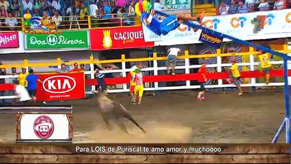 toros-levantines-160115