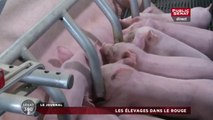 Sénat 360 : Une biodiversité menacée / Ces communes tentées par la fusion / Les élevages dans le rouge (21/01/2016)