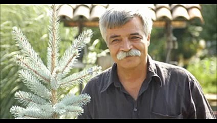 Ozan Arif - Sizi gormeye geldim