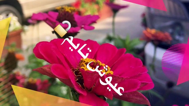 .#résumé. .خلاصة.A #quelque #chose #malheur est bon..عسى ان #تكرهوا #شيئا وهو #خير #لكم .