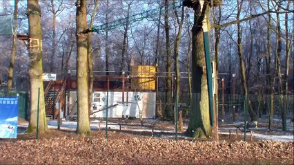 Plan d'eau de Brumath  Hiver 2016 par le Professeur Djack d' Alsace