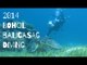 2014 보홀 여행 / 발리카삭 다이빙 /Philippines /Bohol / Panglao / balicasag / Sony AS15 / underwater video