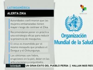 Recomendaciones de la OMS ante virus Zika