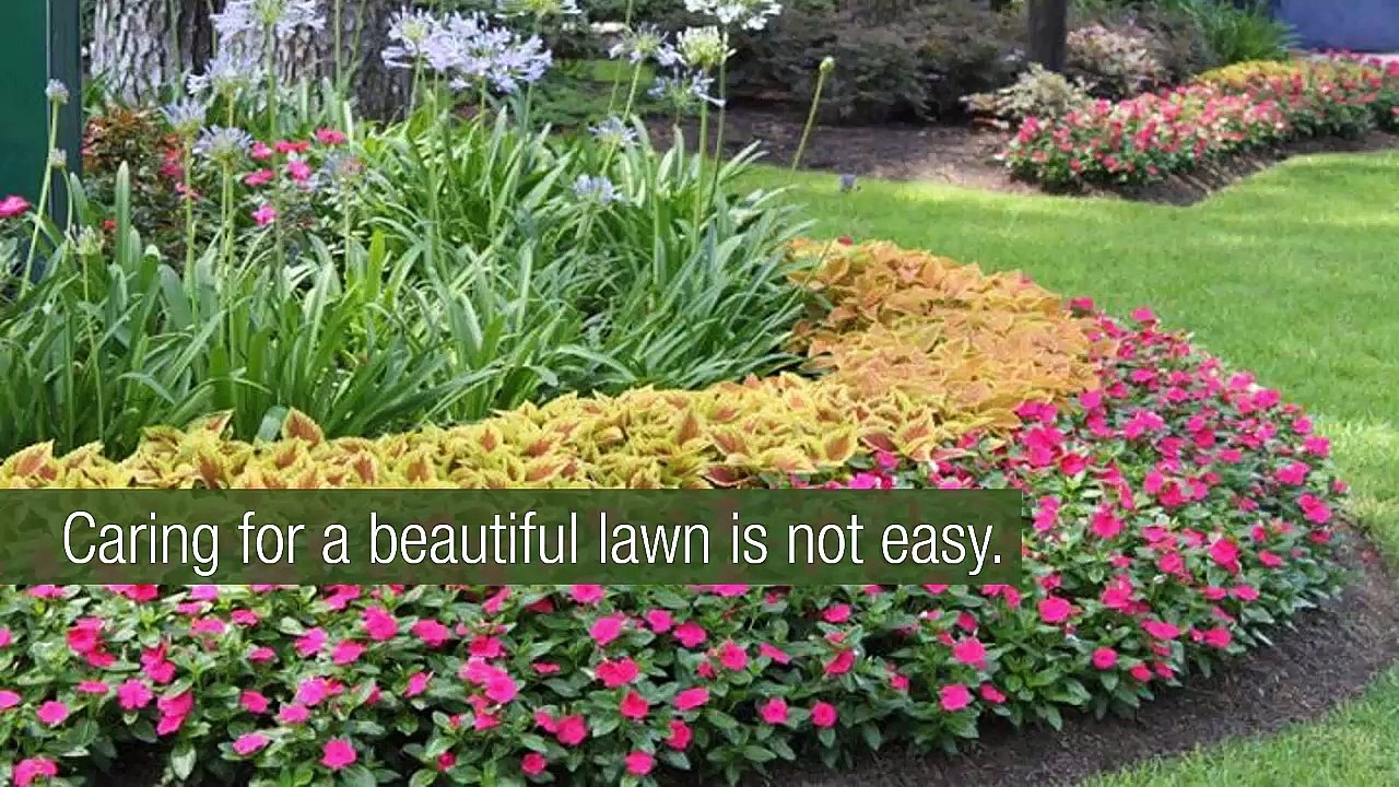 Archer Lawns: Your One-Stop-Lawn Care And Landscaping Experts