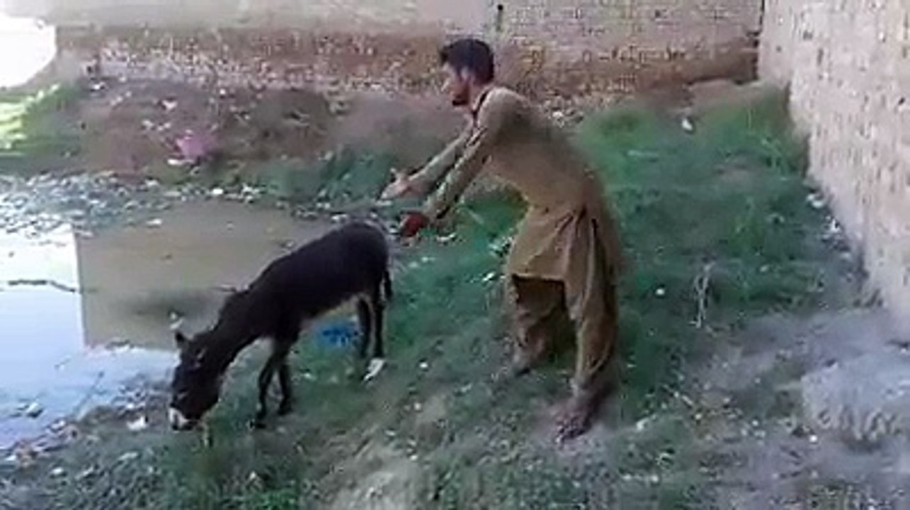 Funny clip