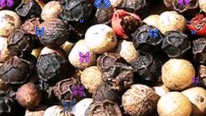 Как в домашних условиях вырастить Черный Перец