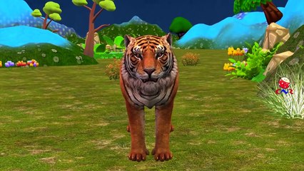 Tiger Vs Crocodile Cartoons Singing Finger Family Rhymes And More Children Nursery Rhymes