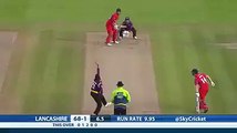 Best Catch In The Cricket History - Cricket Videos