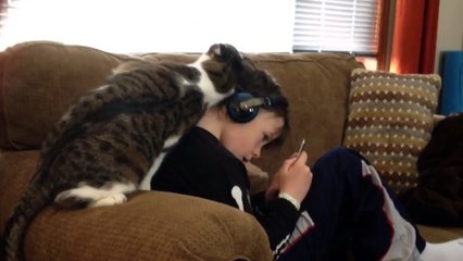 This Cat Really Loves His Boy